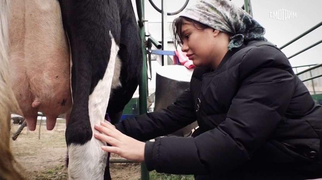 Кадр одной из программ. Фото Яндекс.Картинки. 