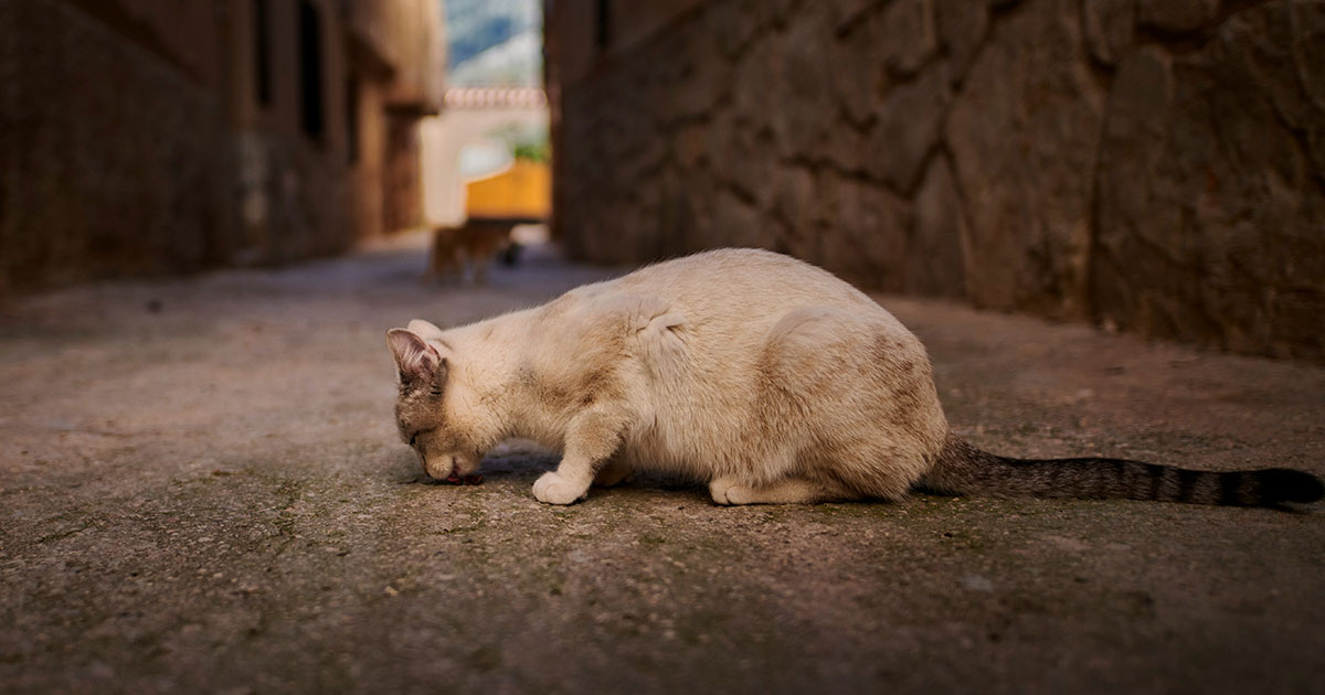 Angel Santos / Unsplash