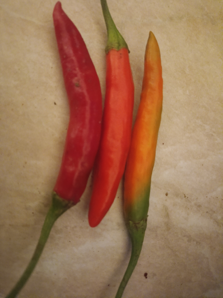 Вот он красавчик!