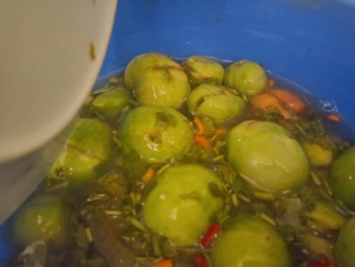 Это они уже в рассоле 3-й день