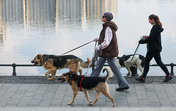 Софья Сандурская/ТАСС