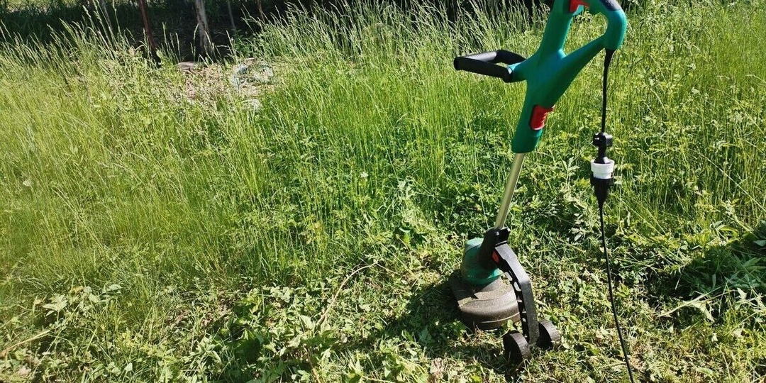 В Гвардейском районе вынесли предупреждения за заброшенные земельные участки