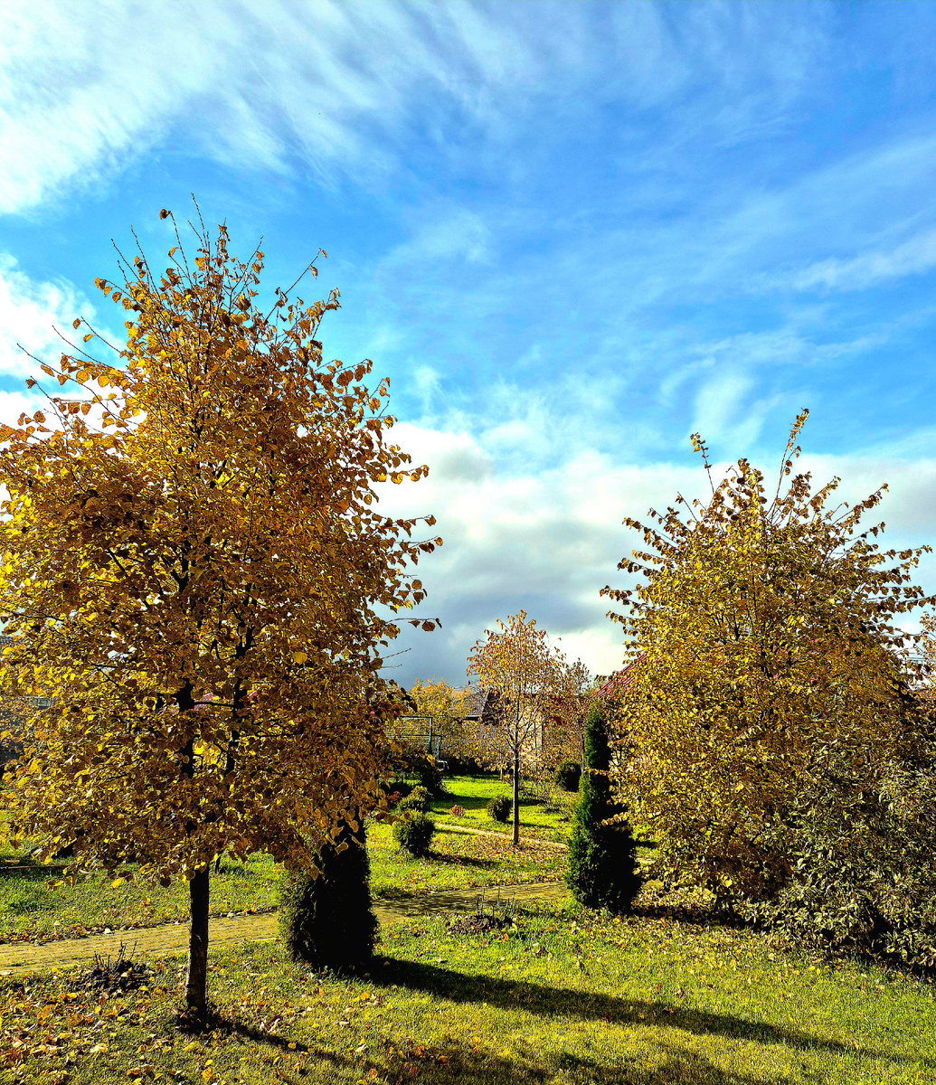 Золотая осень на солнечных просторах
