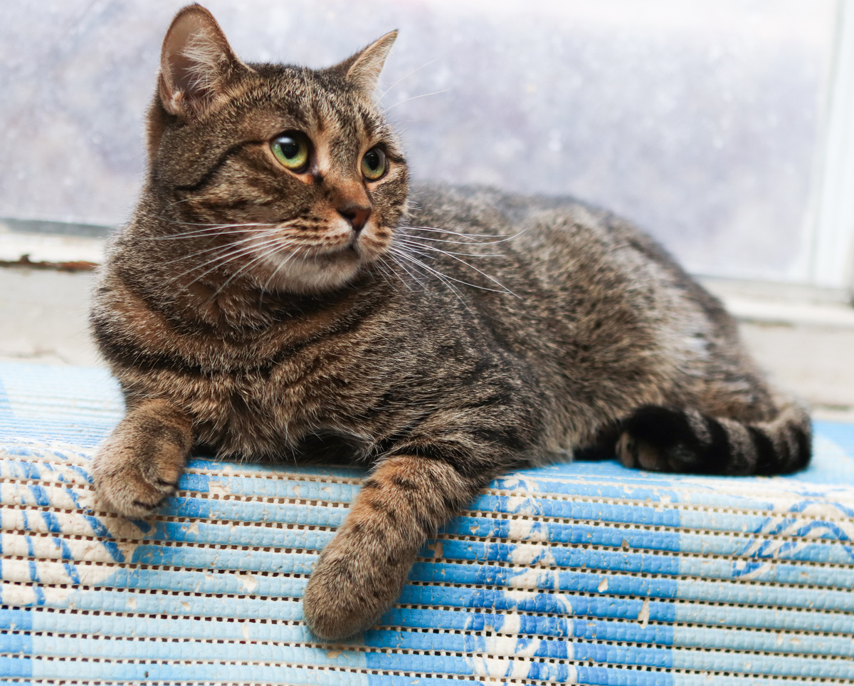 А что, разве обязательно нужна красота, чтобы найти дом?