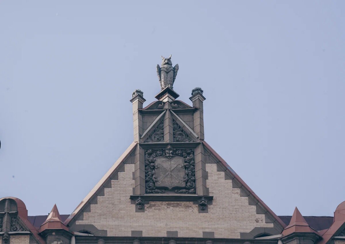 Фигура совы