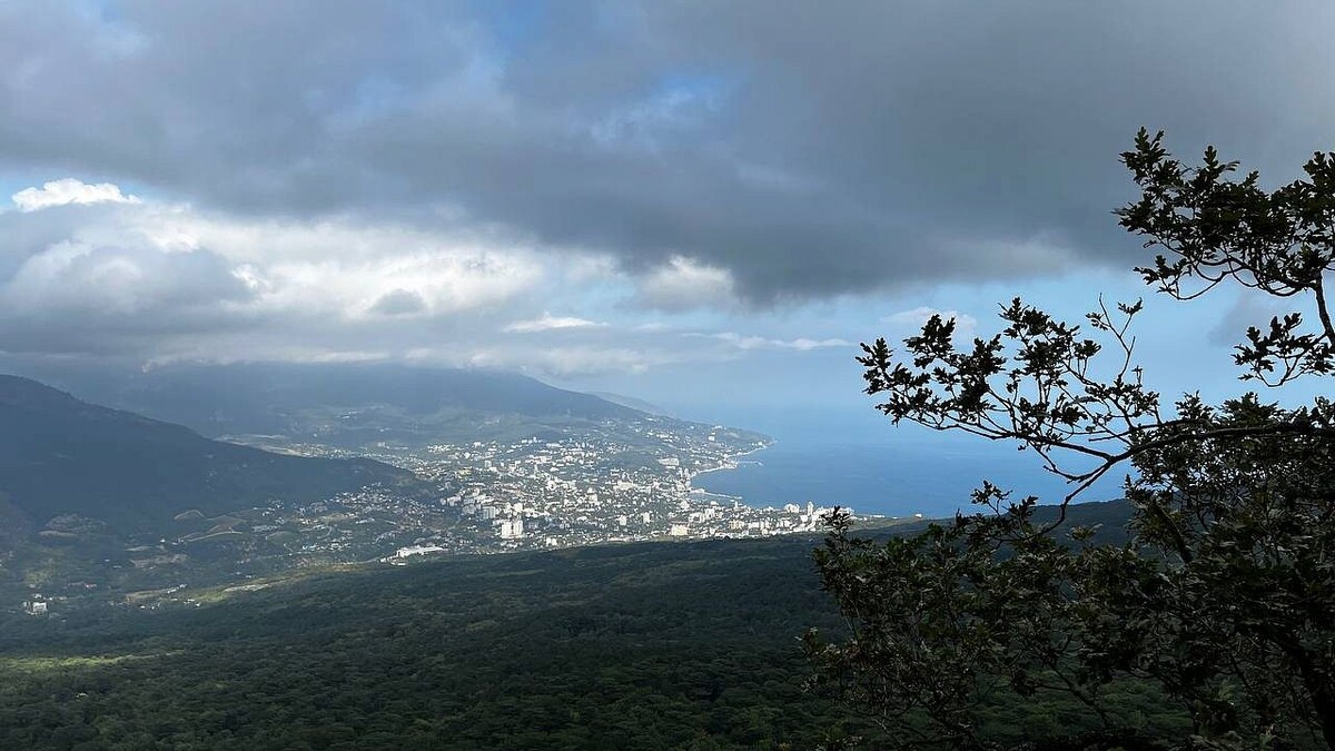   Фото: телеканал «Краснодар»