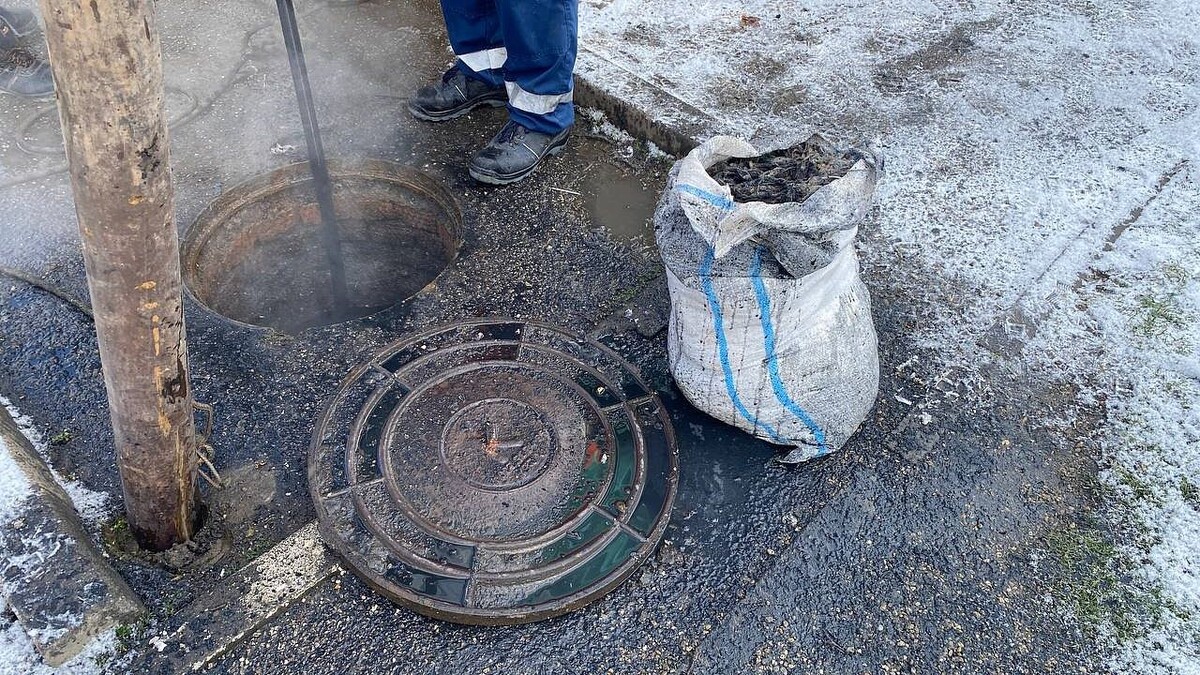    Фото: телеканал «Краснодар»