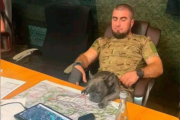    Фото: lenta.ru Павел Евсеев