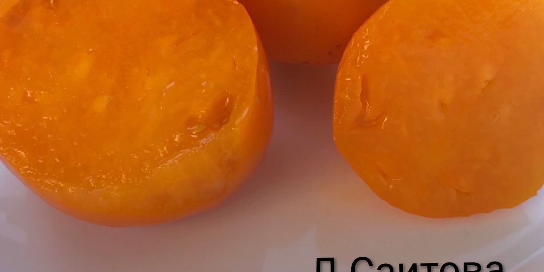 Мои любимые сорта