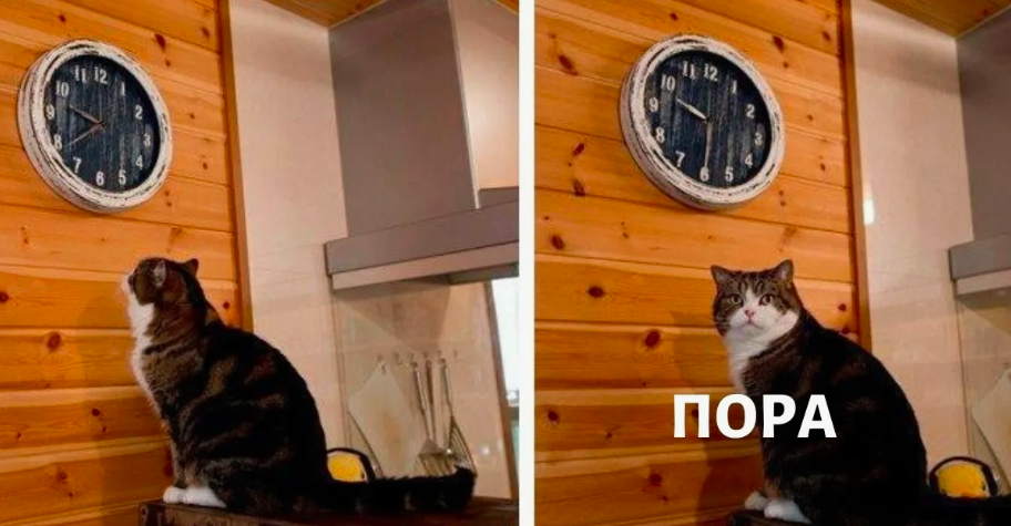 источник Яндекс-картинки