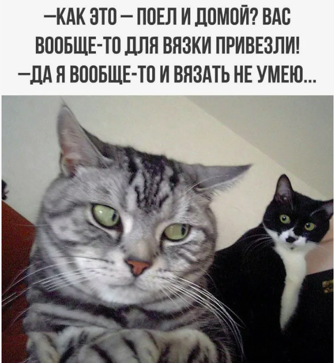 источник Яндекс-картинки