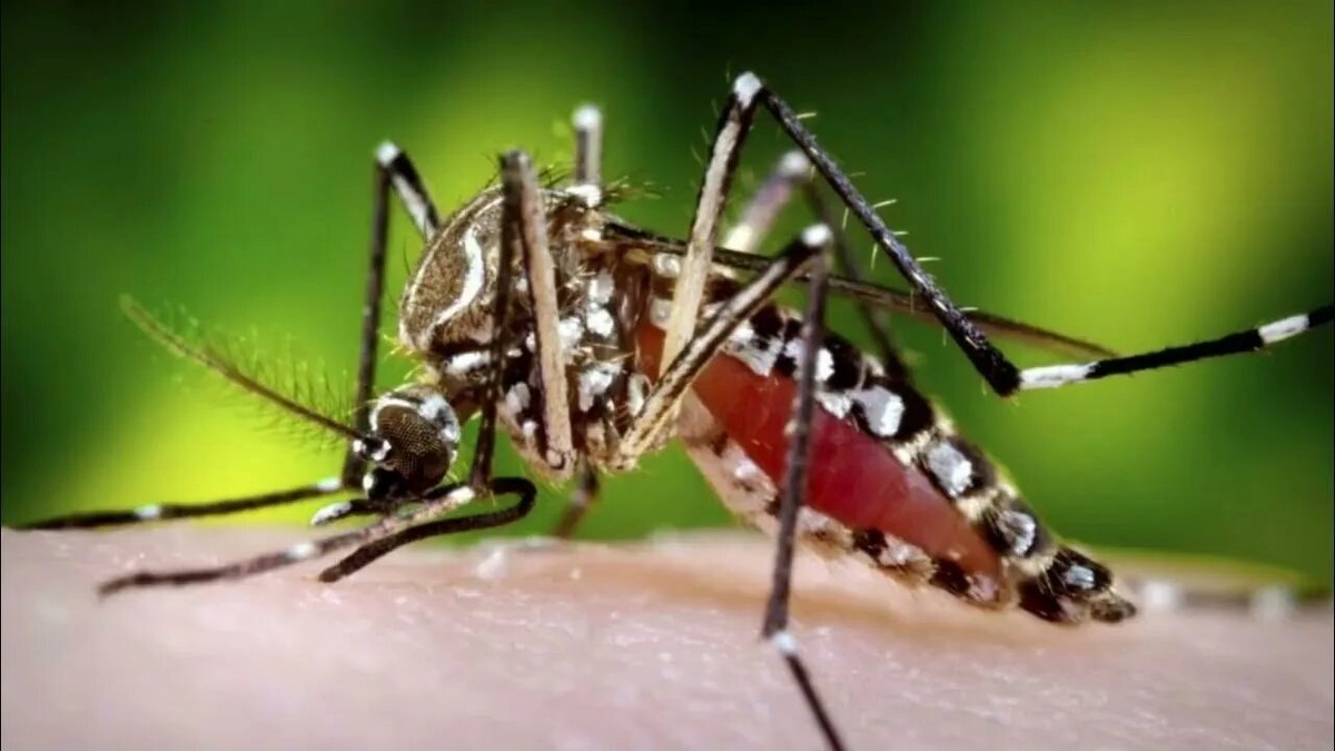 Фотография из интернета