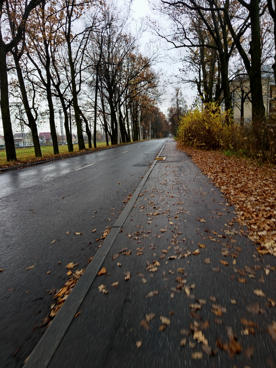 Дорога к музею. Фото здесь и дальше - мои