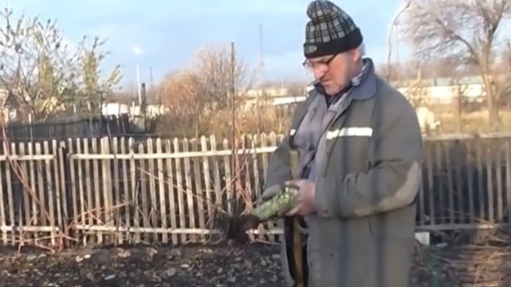 Использую капустные кочерыжки как удобрение с ноября. Экономлю 1500 рублей на покупных подкормках