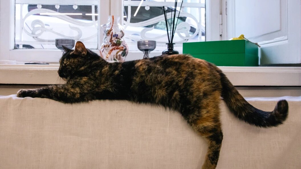    Фото: Roman Naumov/URA.RU/Globallookpress