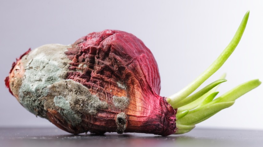 Результат применения неправильных методов хранения