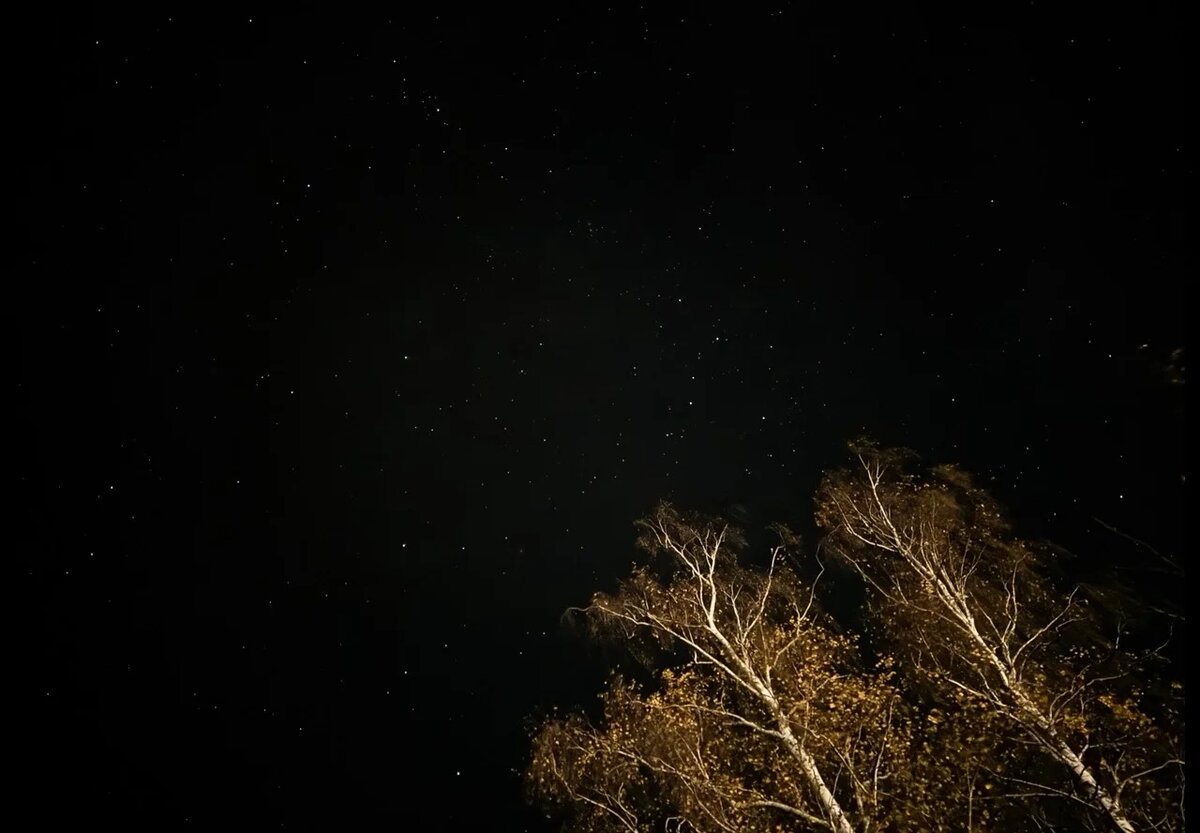 Фото: UfacityNews.ru