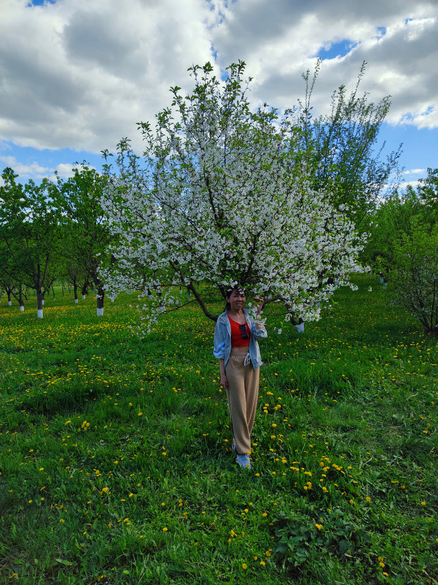Одно деревце уже цвело.