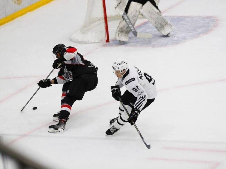     Источник: ХК "Тамбов"