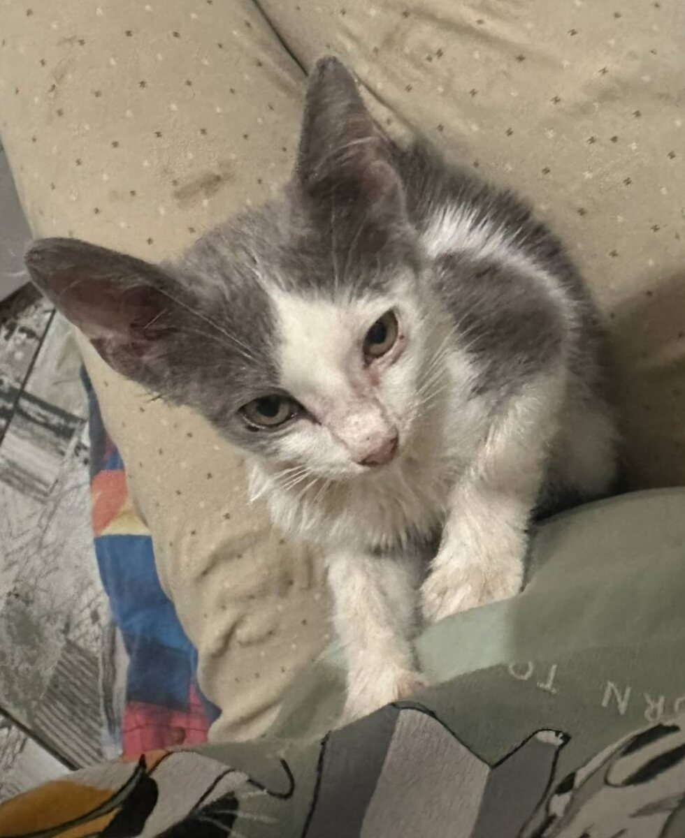 Первые часы дома