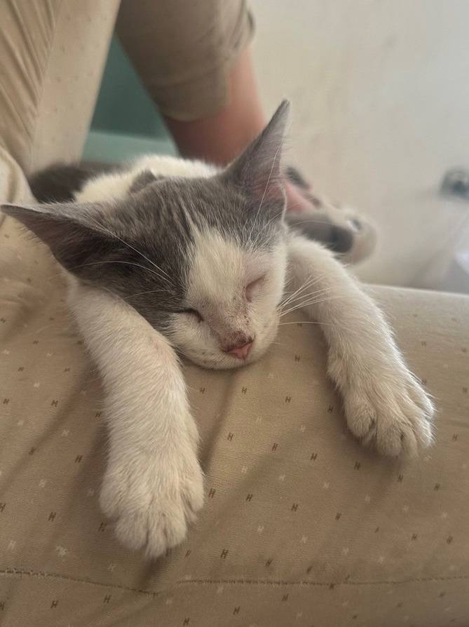 Не отпускала ни на секунду