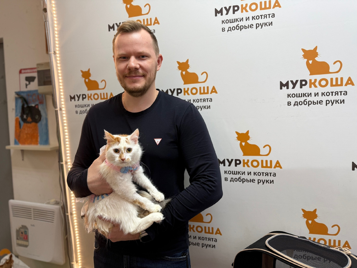 За Сечиль пришёл хозяин. 