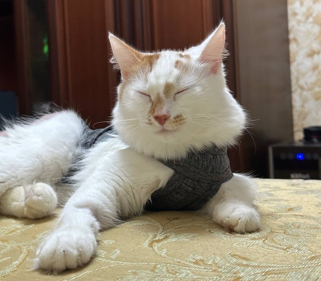 «Сечиль передает привет 😍. Наша малышка дома 🥰»