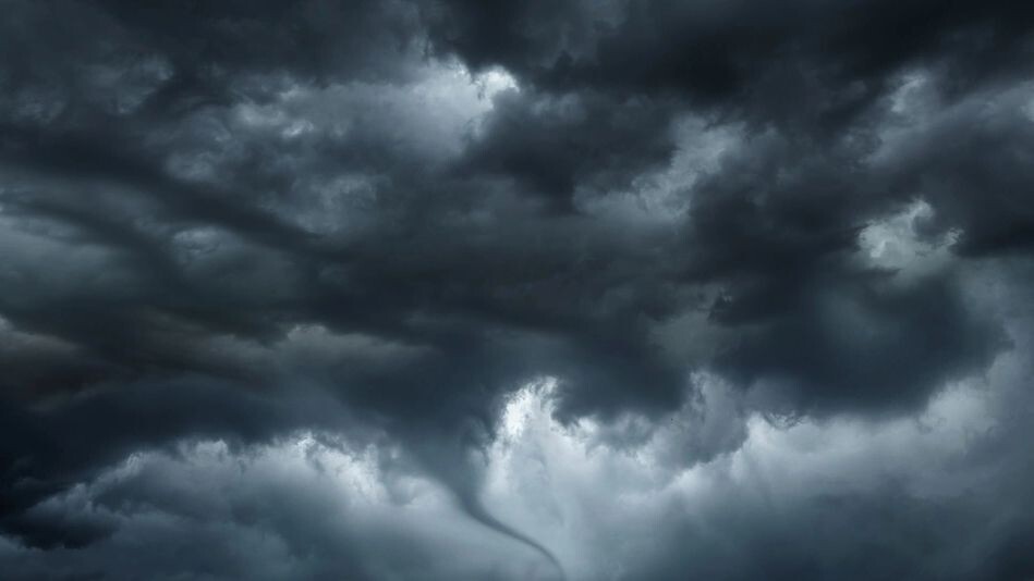    Фото: Triff/Shutterstock/Fotodom