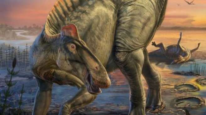 «Мумии» динозавров раскрыли внешний вид ящеров, населявших Землю миллионы лет назад