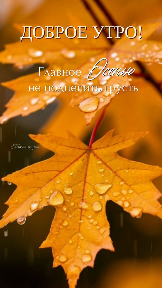 Доброе утро