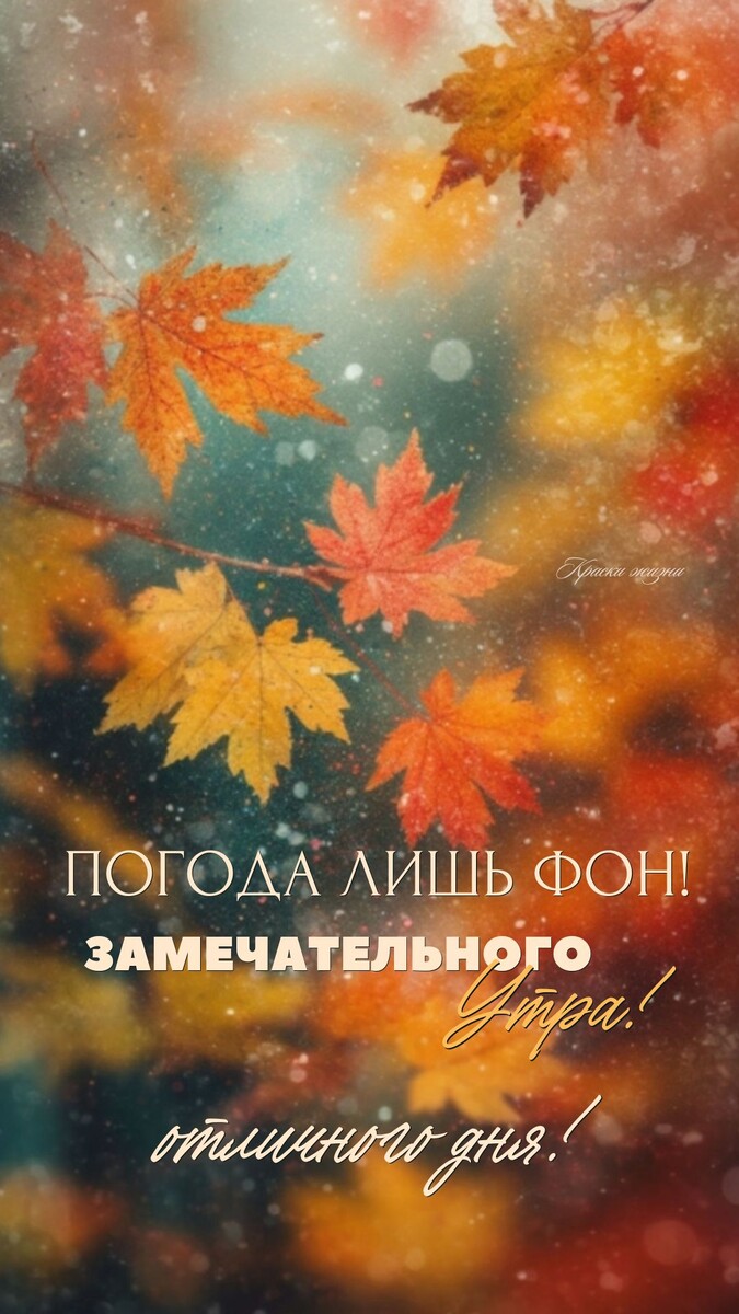 Замечательного утра. Отличного дня!