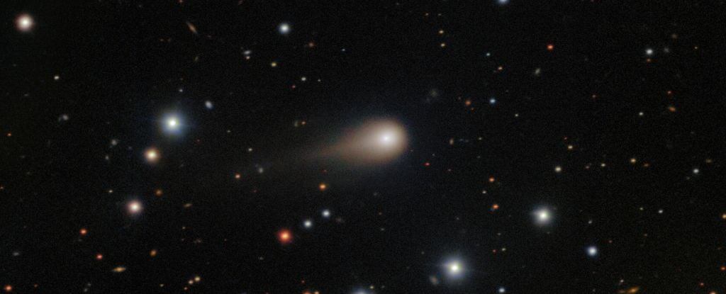 Межзвёздный объект 3I/ATLAS с хвостом. International Gemini Observatory/NOIRLab/NSF/AURA.