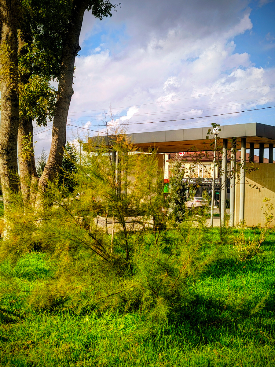 Парк станицы 