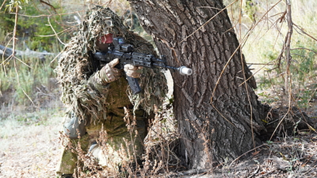    Russian Defence Ministry/Globallookpress