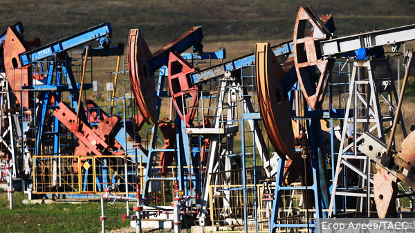    Фото: Егор Алеев/ТАСС   
 Текст: Валерия Городецкая