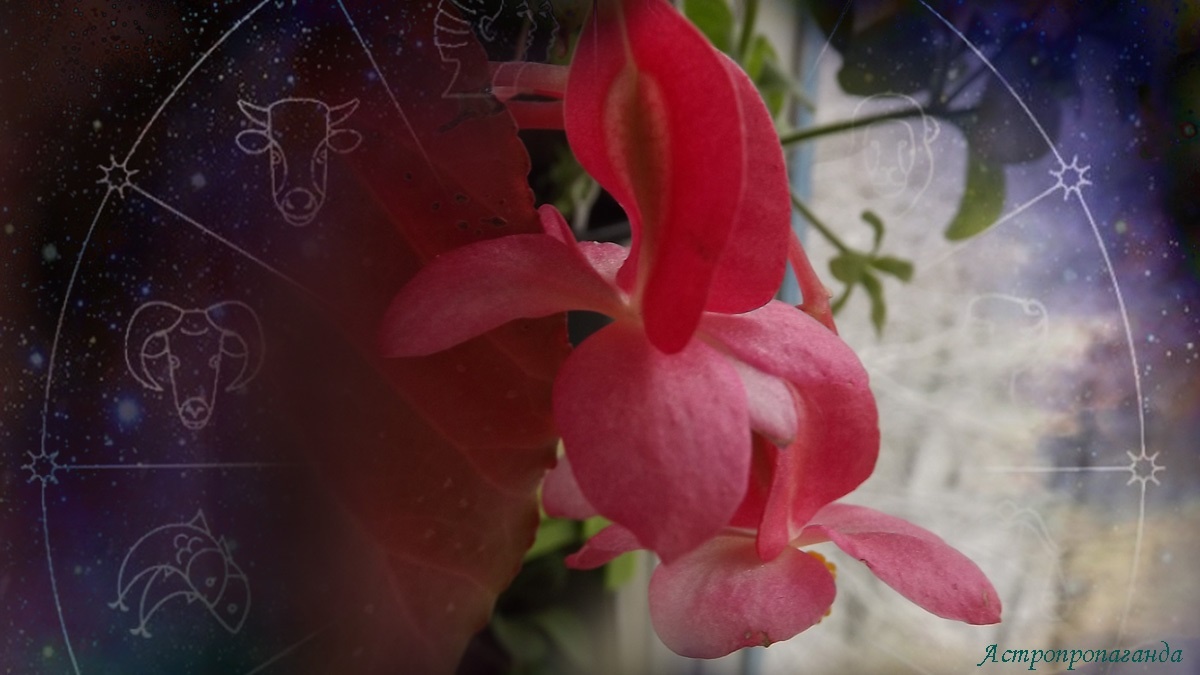 Гороскоп с 27 октября по 2 ноября 2025: показания Марса и Меркурия | Недельный гороскоп