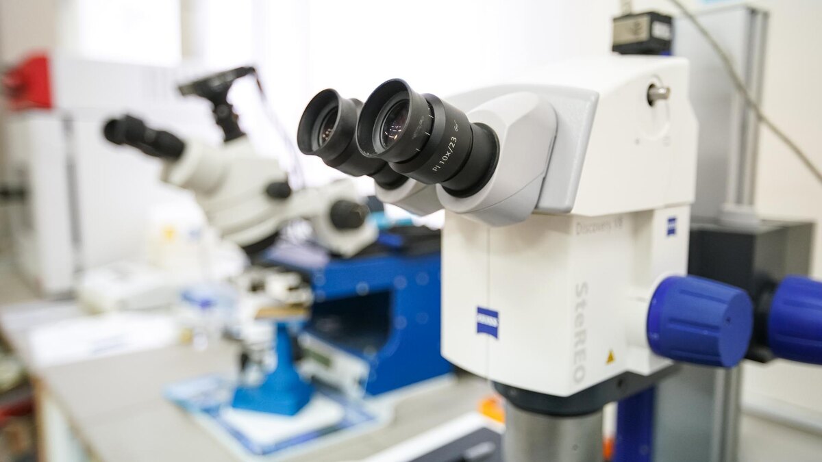    Фото: ИЗВЕСТИЯ/Сергей Лантюхов