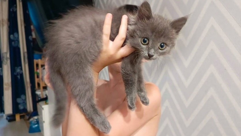 Пикси 2 месяца. Она стала очень большая. 