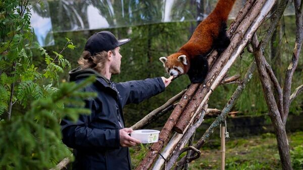    © Ähtärin Eläinpuisto