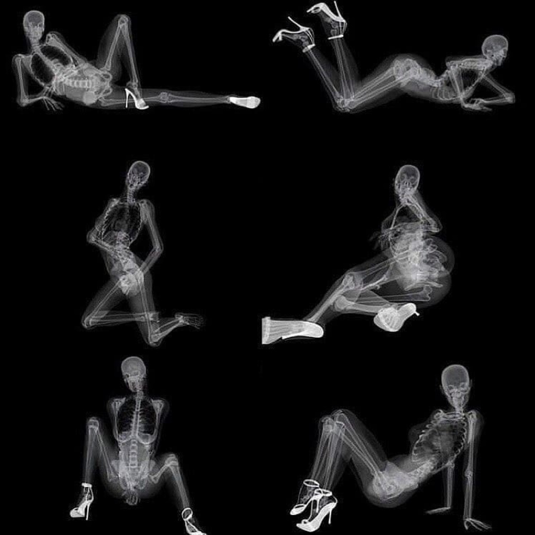 Хельмут Ньютон, 1995