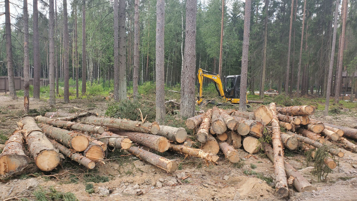 Расчистка участка