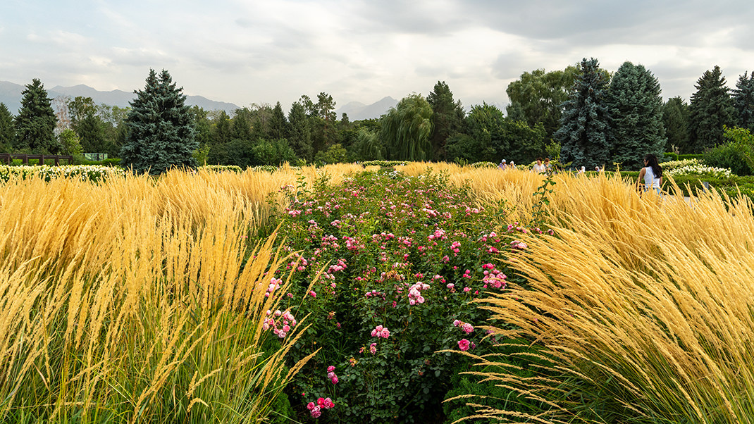 Ботанический сад в Алматы