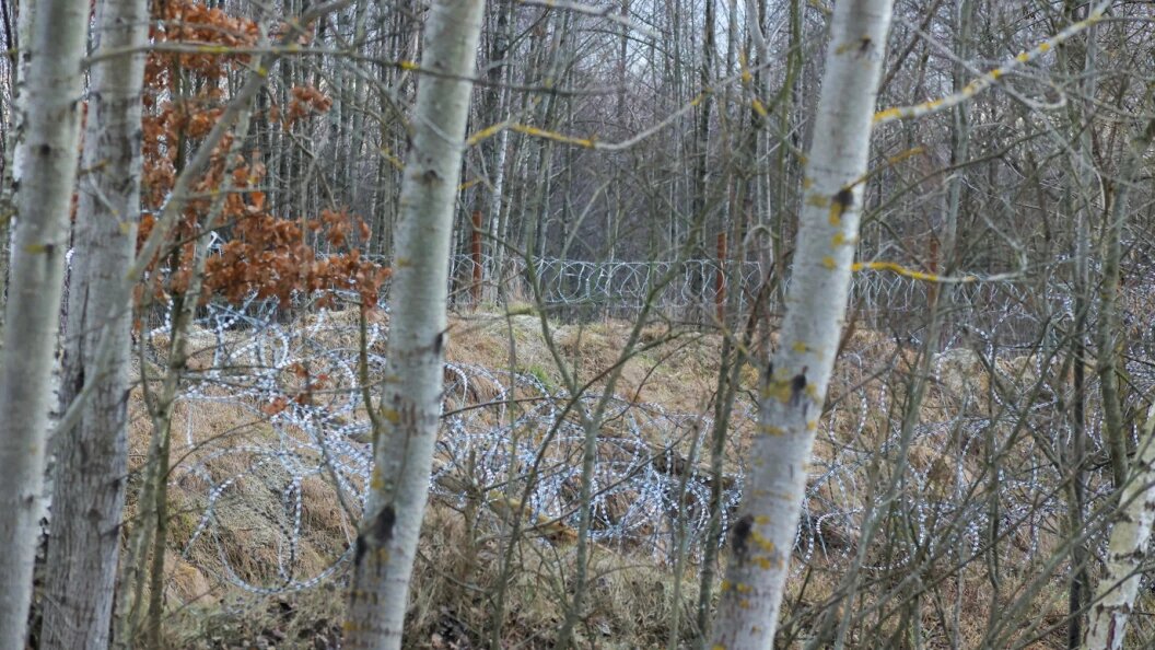    ФОТО: © PETROV SERGEY/ GLOBAL LOOK PRESS