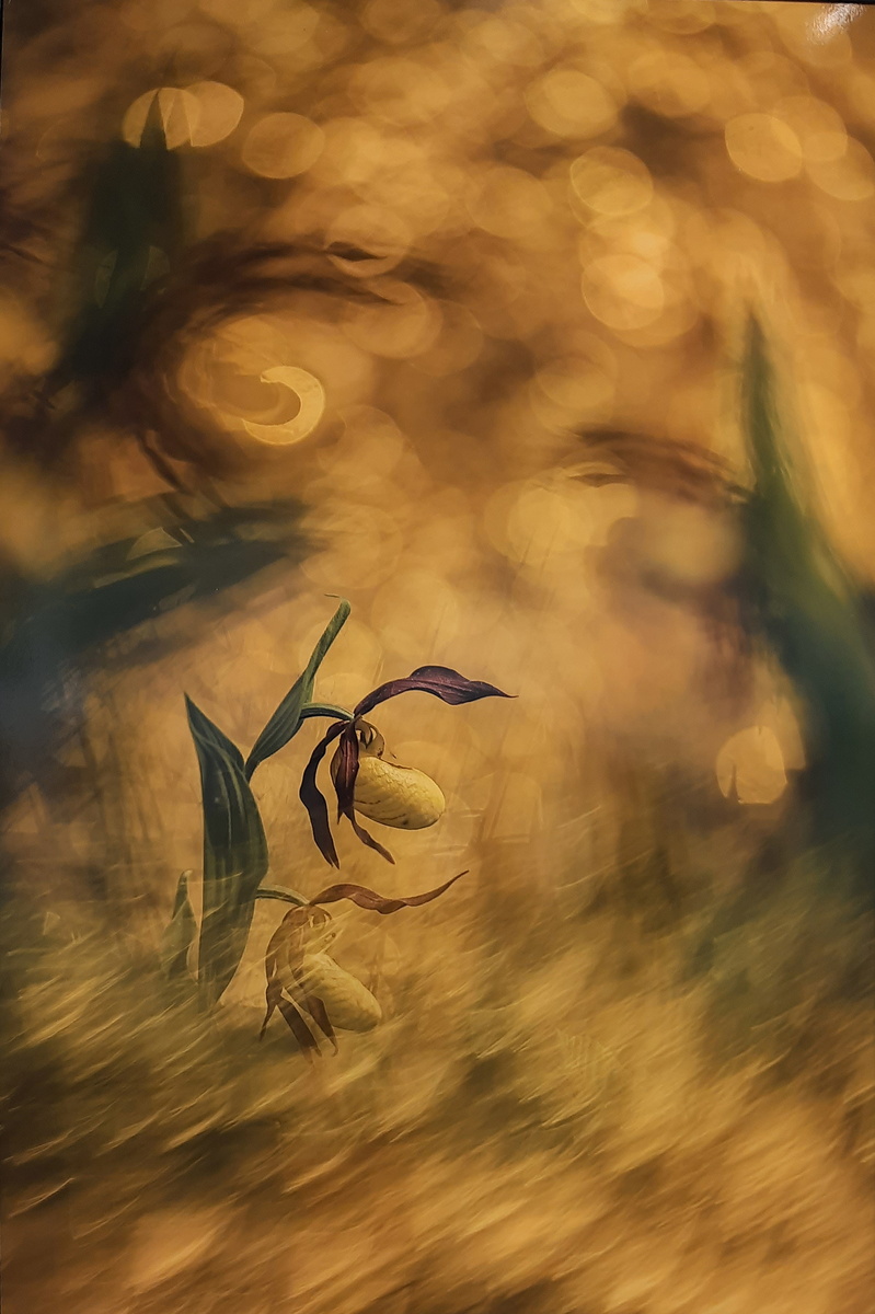 Все фотографии фотографий и картин с выставки- мои