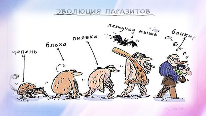 Источник: pic.rutubelist.ru