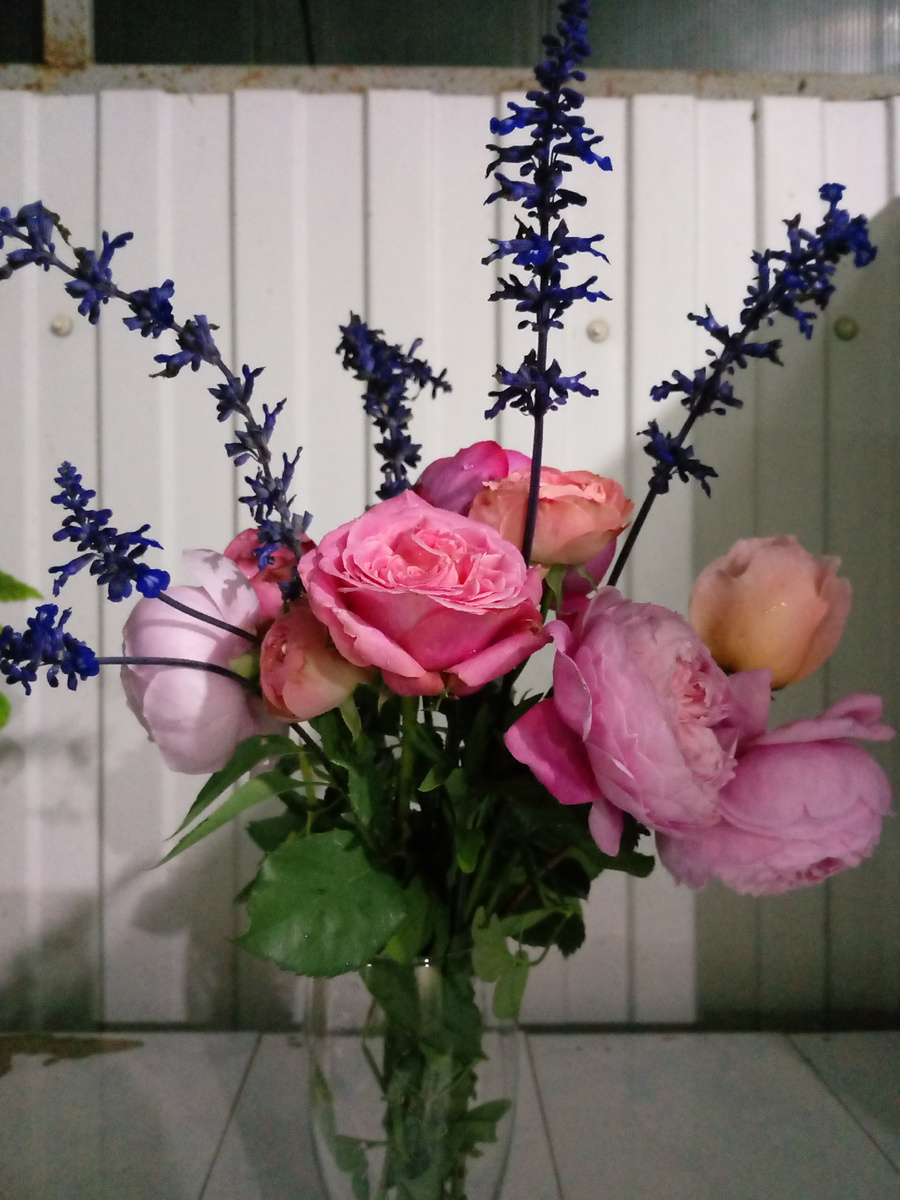 Розы из моего сада: Пастелла,  Спирит оф Фридом, Ив Пьяже, Принцесса Шарлен де Монако и несколько веточек Шалфея.