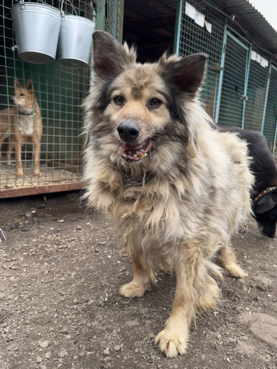 Да вы цены у стоматологов видели?