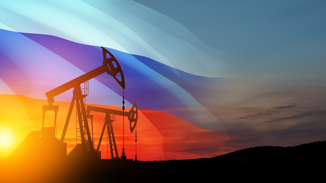    Фото: Hamara/shutterstock