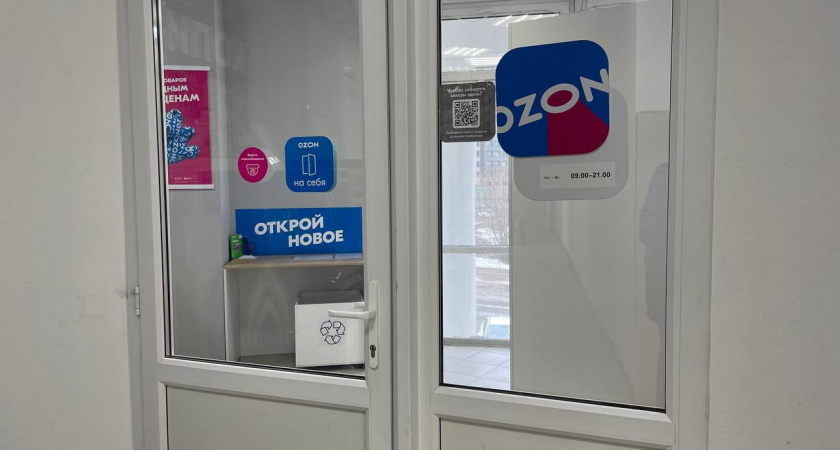    Мои полезные покупки на "Ozon" и "Wildberries" - дешевле магазинов, а качество отличное