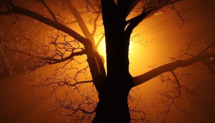    Когда уходит Даждьбог? Фото: по лицензии CC0 Pxhere.com